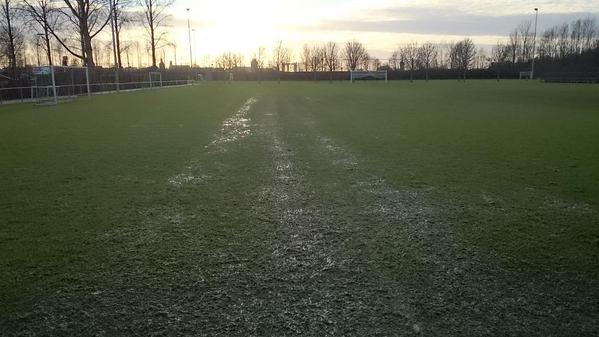Veld met plassen