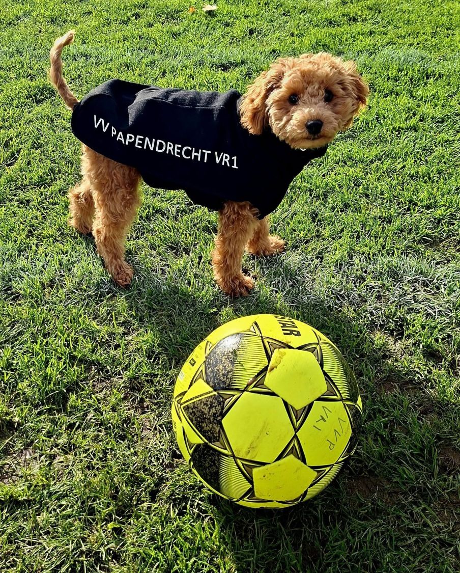 Mascotte Vrouwen 1 op 24-10-2026